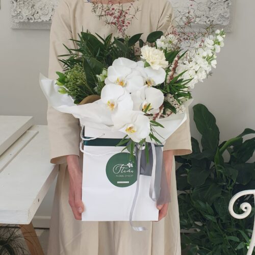 Moonlight(Creamy White)