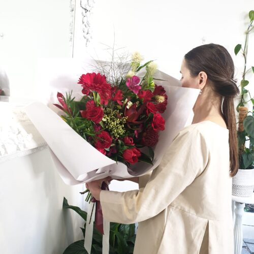 Cheers (Red / Burgundy)