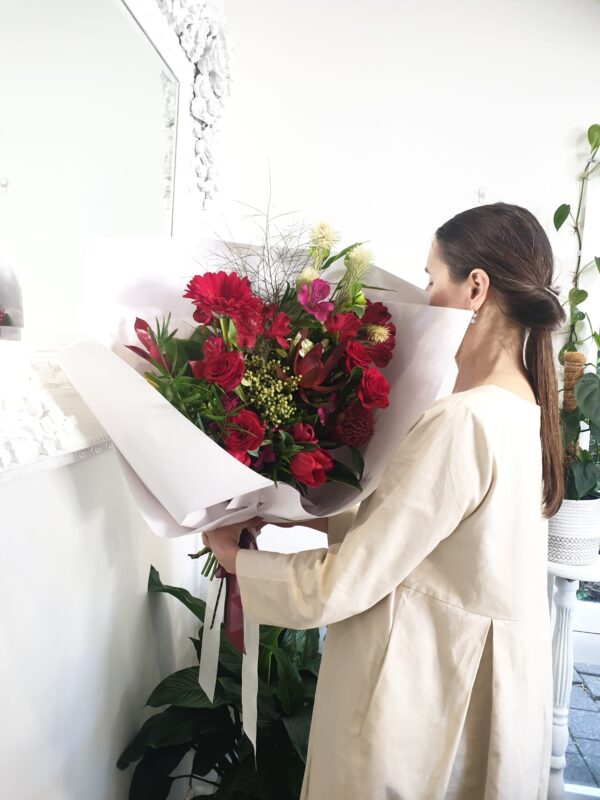 Cheers (Red / Burgundy)