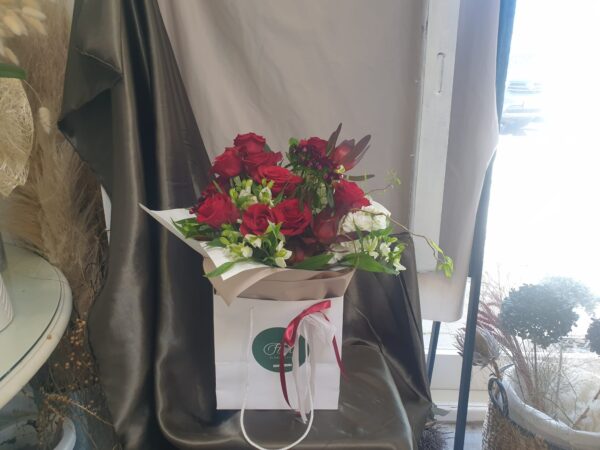 Cheers (Red / Burgundy)