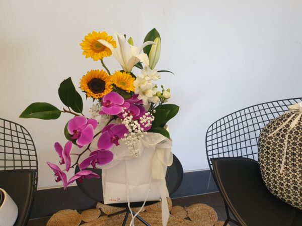 Hospital flower collection